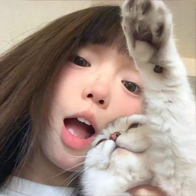 我在六扇门的日子